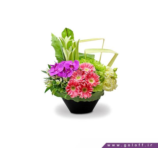 فروش گل آنلاین - گل خواستگاری برای هم - Proposal Flower | گل آف